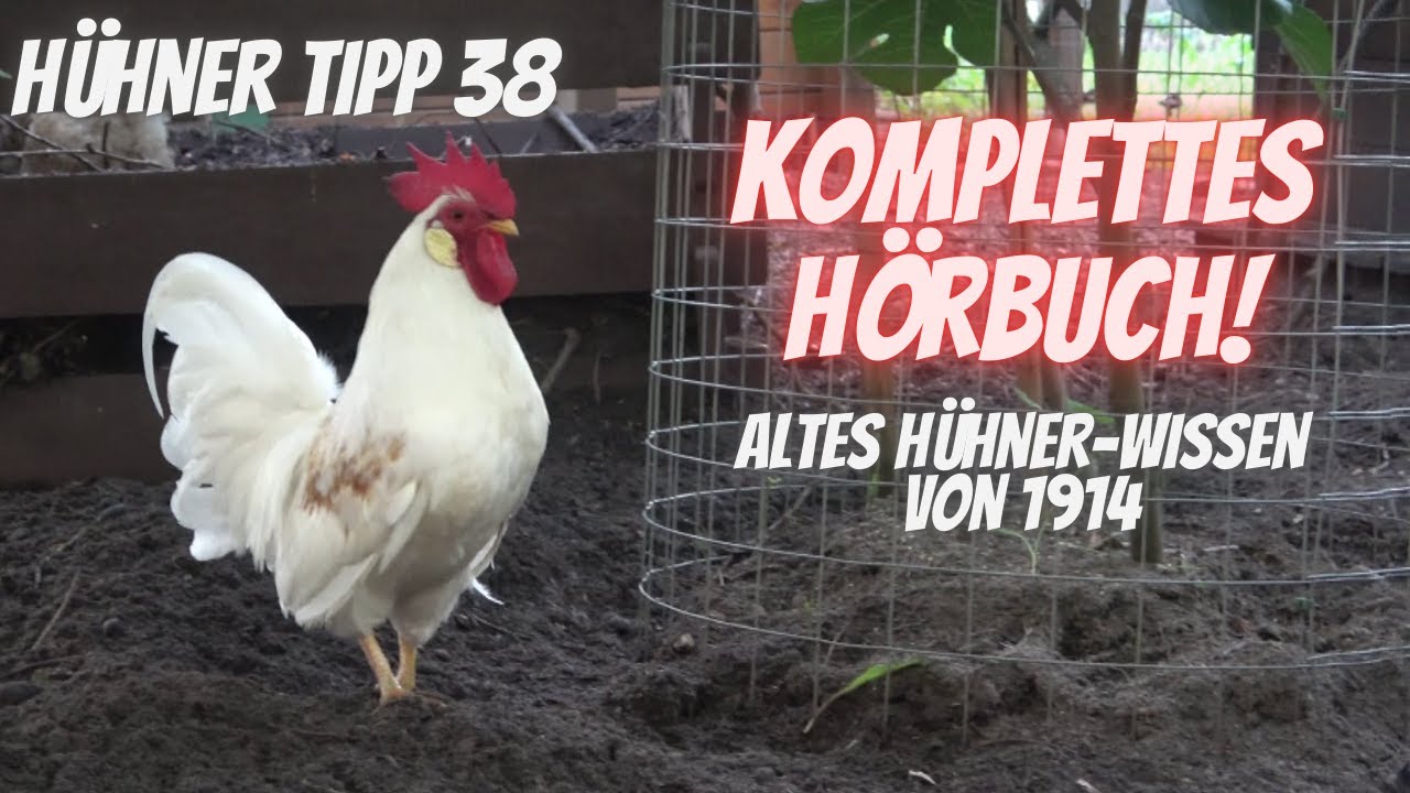 Hühner Tipp 38 -  Komplettes Hörbuch: Wirtschafts-Geflügelzucht von Arthur Wulf von 1914