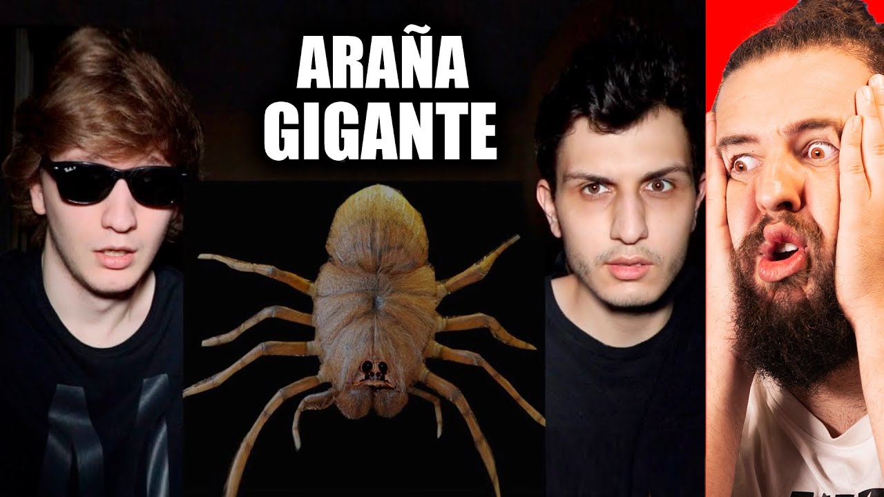 Compramos Una ARAÑA En La Dark Web 🕷🕸