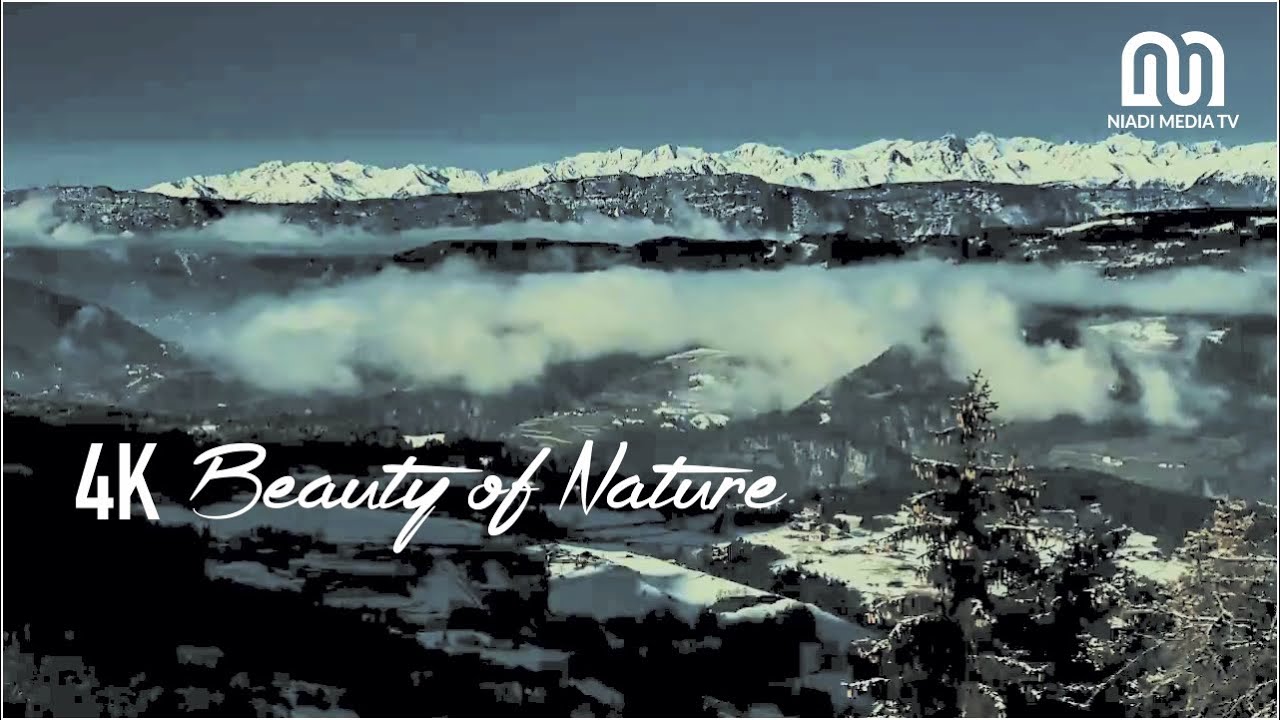 Beauty of Nature Background Video Aesthetic
