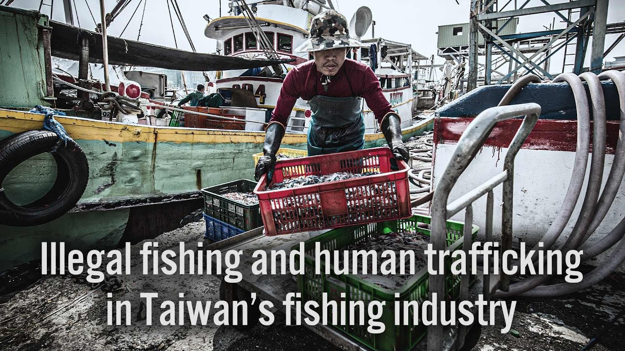 An EJF Film: Illegal fishing and human trafficking in Taiwan’s fishing industry