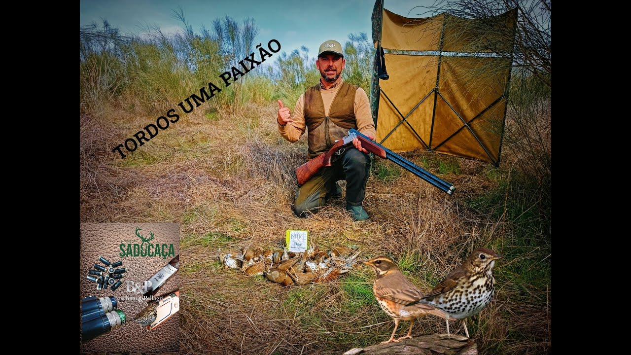 CAÇA AOS TORDOS 4 JANEIRO 2025