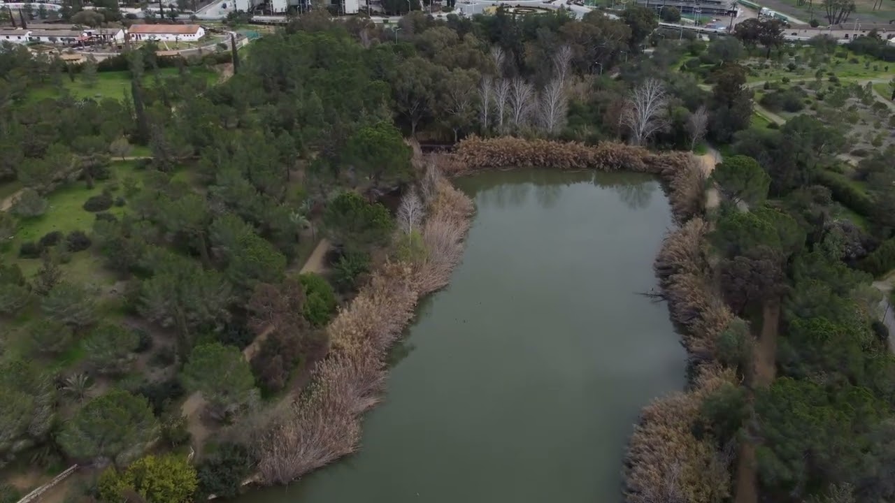 Cyprus Drone Footage | Athalassa Park at Noon | Πάρκο Αθαλάσσας Μεσημέρι