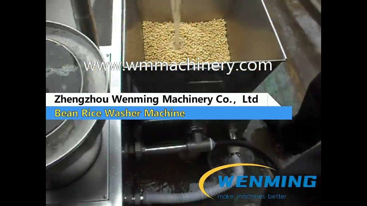 Automatic Rice  Bean Wheat washer for sale in special price
