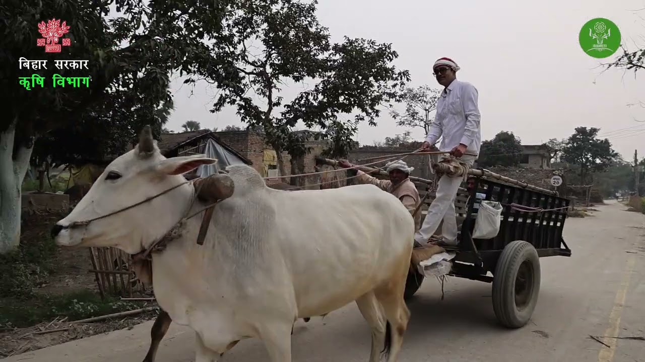 गन्ना की खेती