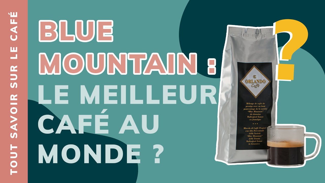 Blue Mountain : le meilleur caf&eacute; au monde ?