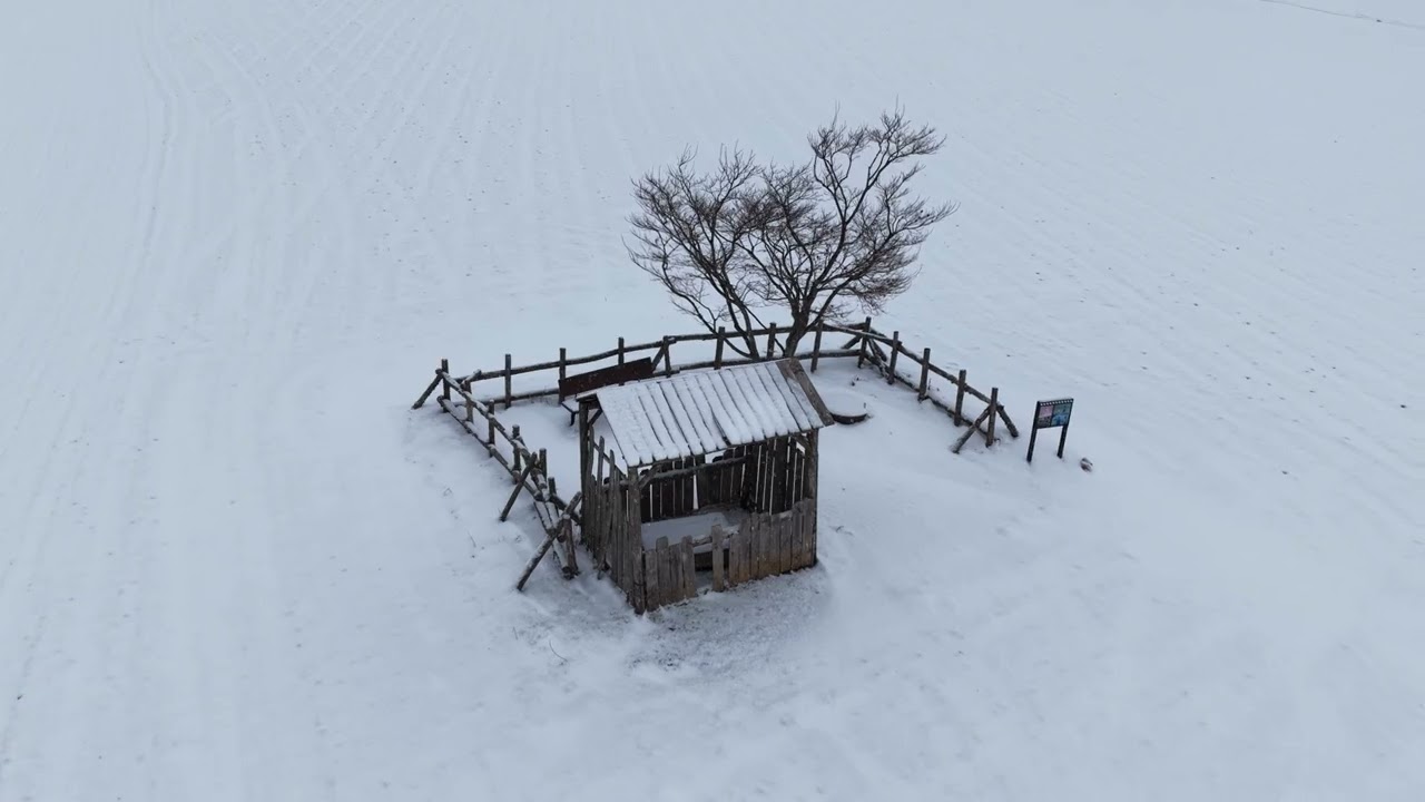 겨울 영상대회 3번 참가자