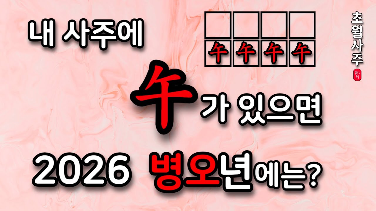 [2026년 운세] 내 사주에 오(午)가 있으면, 2026 병오년(丙午年)에는?