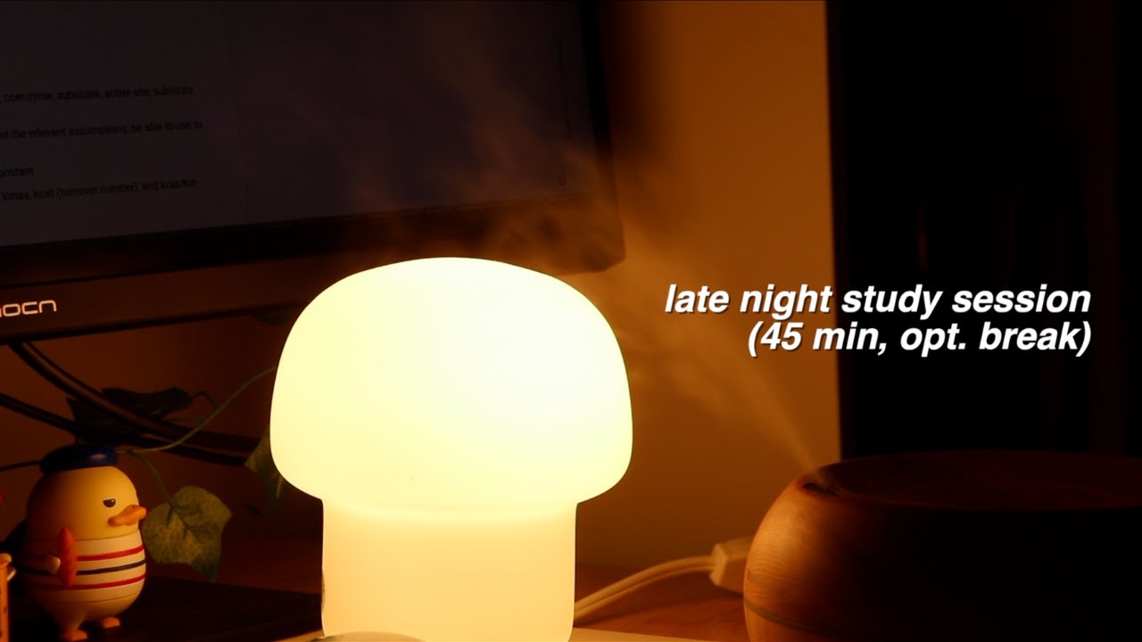 cozy 45 min late night study with me w/ lofi music (ft. branch furniture)