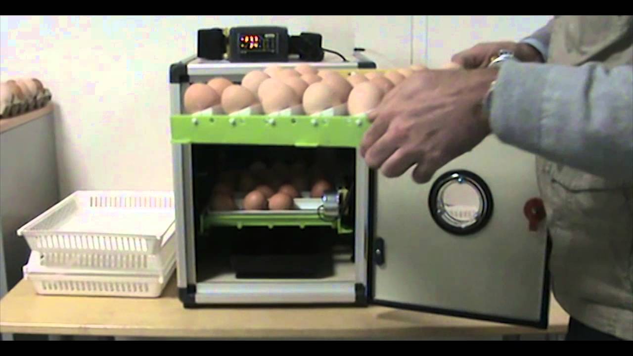 Couveuse automatique Cimuka CT-60-SH - Couveuse entièrement automatisée