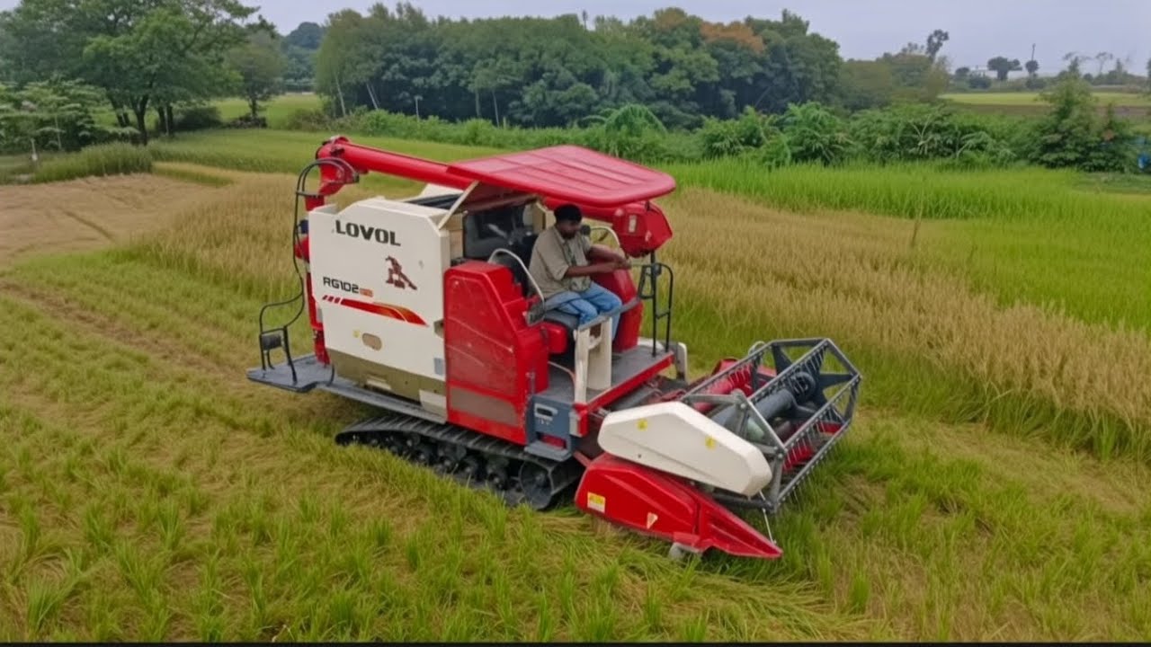 Lovol harvester কিভাবে ধান কাটছে সেটাই দেখেন🌾🌾🌾  