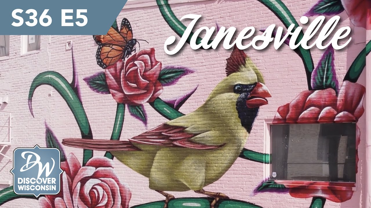 Art Is Alive And For Everyone in Janesville