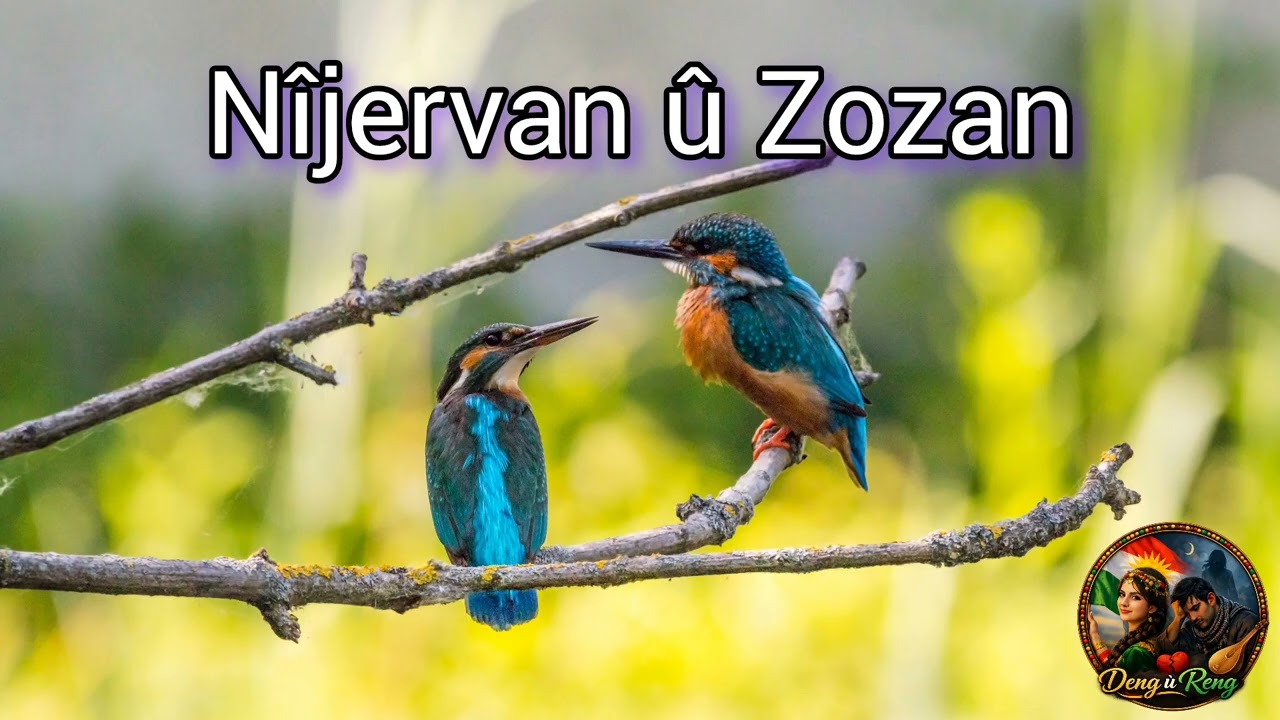 Nîjervan û Zozan ❤️ نيجرفان و زوزان 