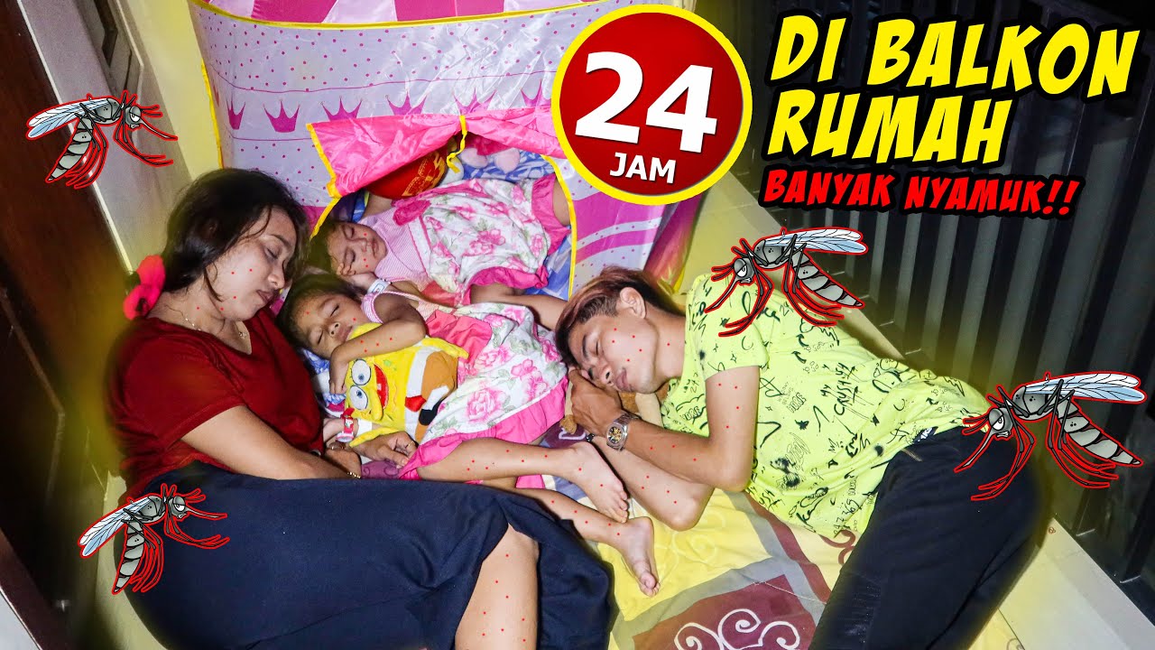24 JAM DIAM DI BALKON RUMAH BANYAK NYAMUK‼️ AUTO BENTOL BENTOL‼️