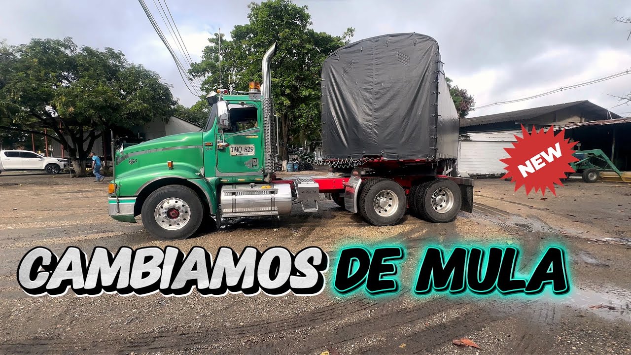MANEJAMOS NUEVA MULA PARA COMENZAR UN NUEVO VIAJE
