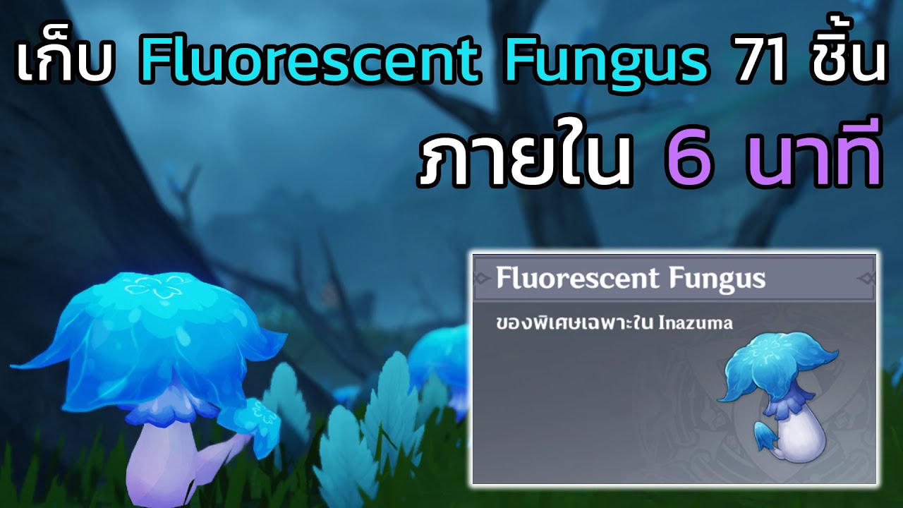 [Genshin impact] เก็บ Fluorescent Fungus 71 ชิ้น ภายใน 6 นาที