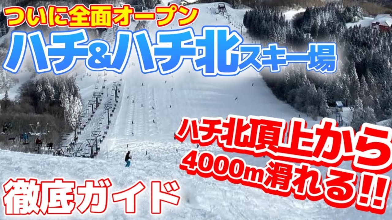 【ハチ北】完全ガイド2024！ハチ北高原スキー場を100倍楽しむため行く前にチェック/ゲレンデレポート