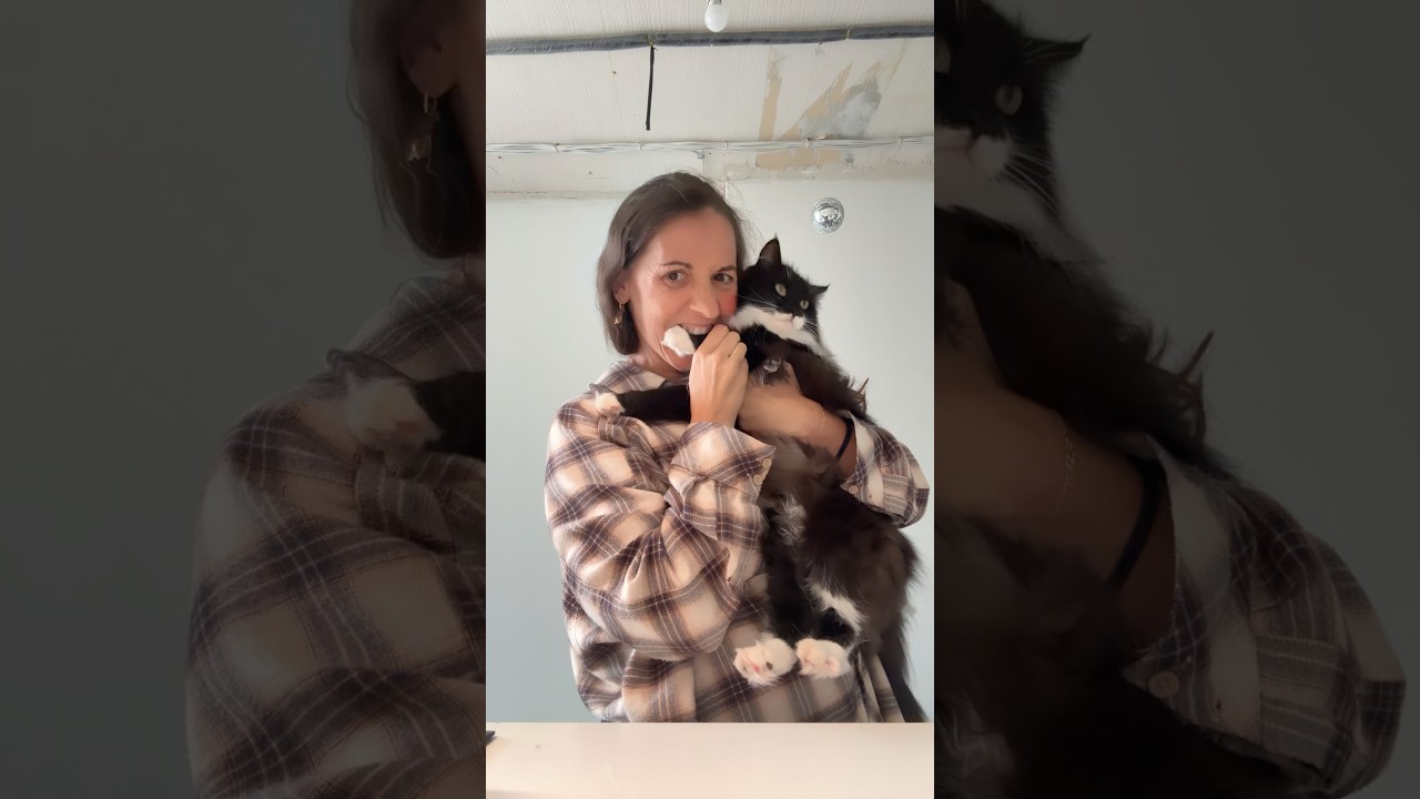 УКУСИЛА КОТА #смешно #тиктоку #юмор