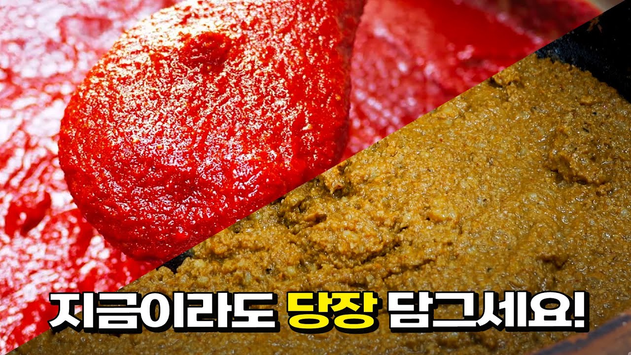 이번주 꼭 담그세요!! 막차! [막장, 보리고추장]