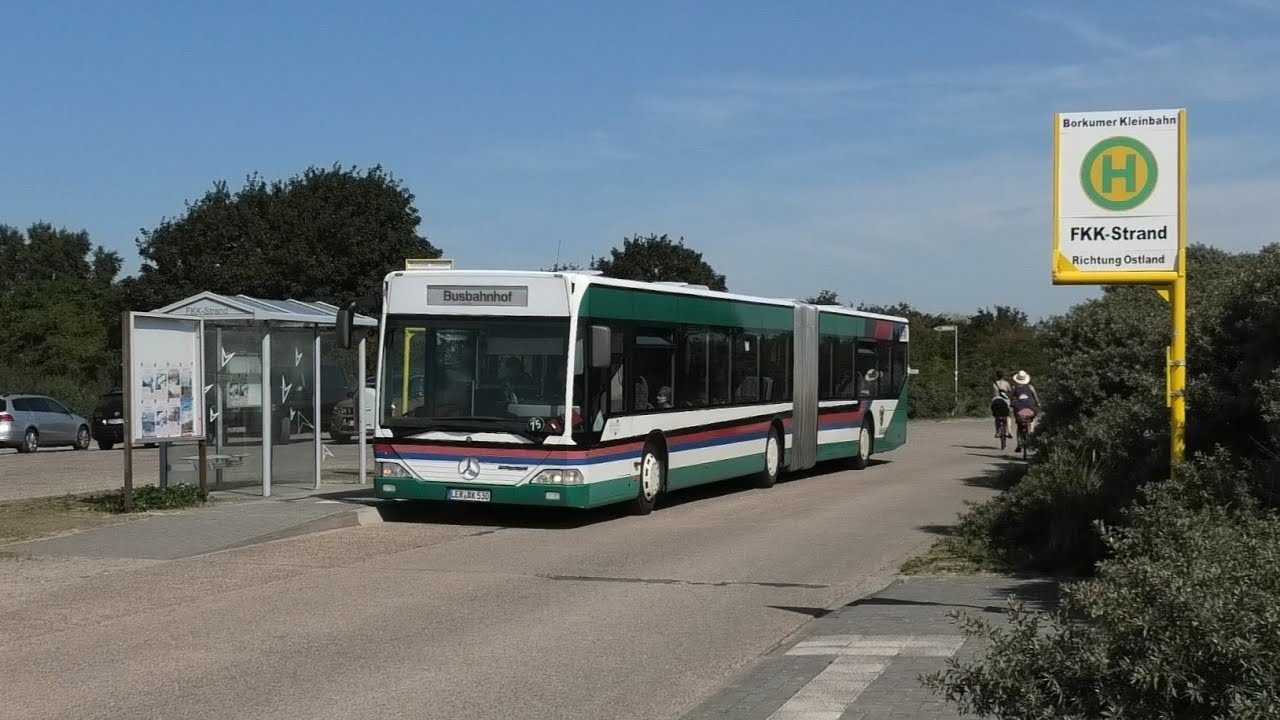 Busse auf Borkum