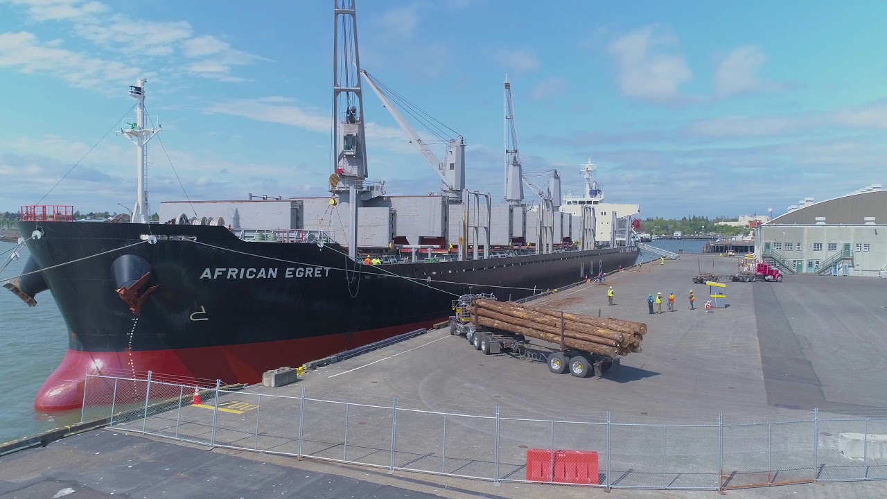Bellingham Shipping Terminal - Loading logs into the vessel 