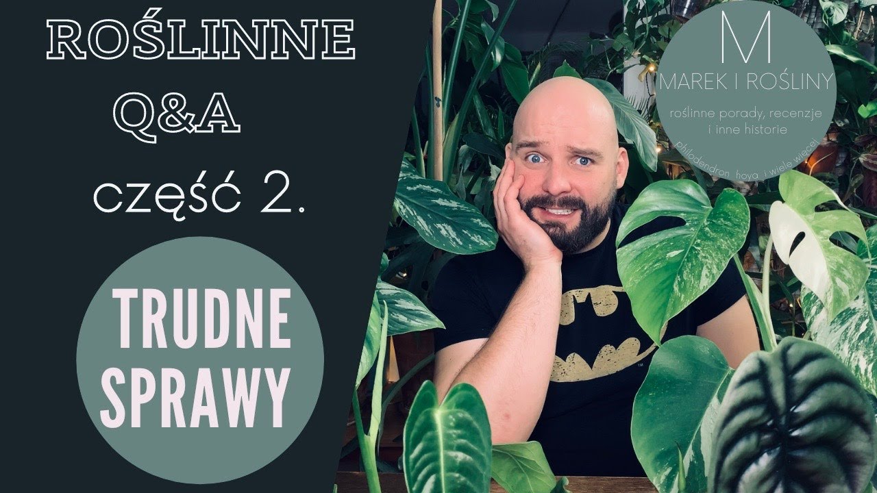 Ile wydałem na rośliny w 2020?  Q&A: Trudne sprawy
