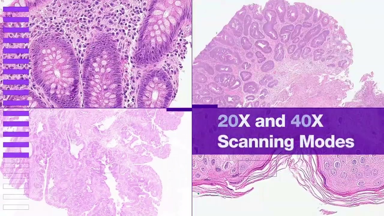 NanoZoomer S20 Digital Slide Scanner for Digital Pathology
