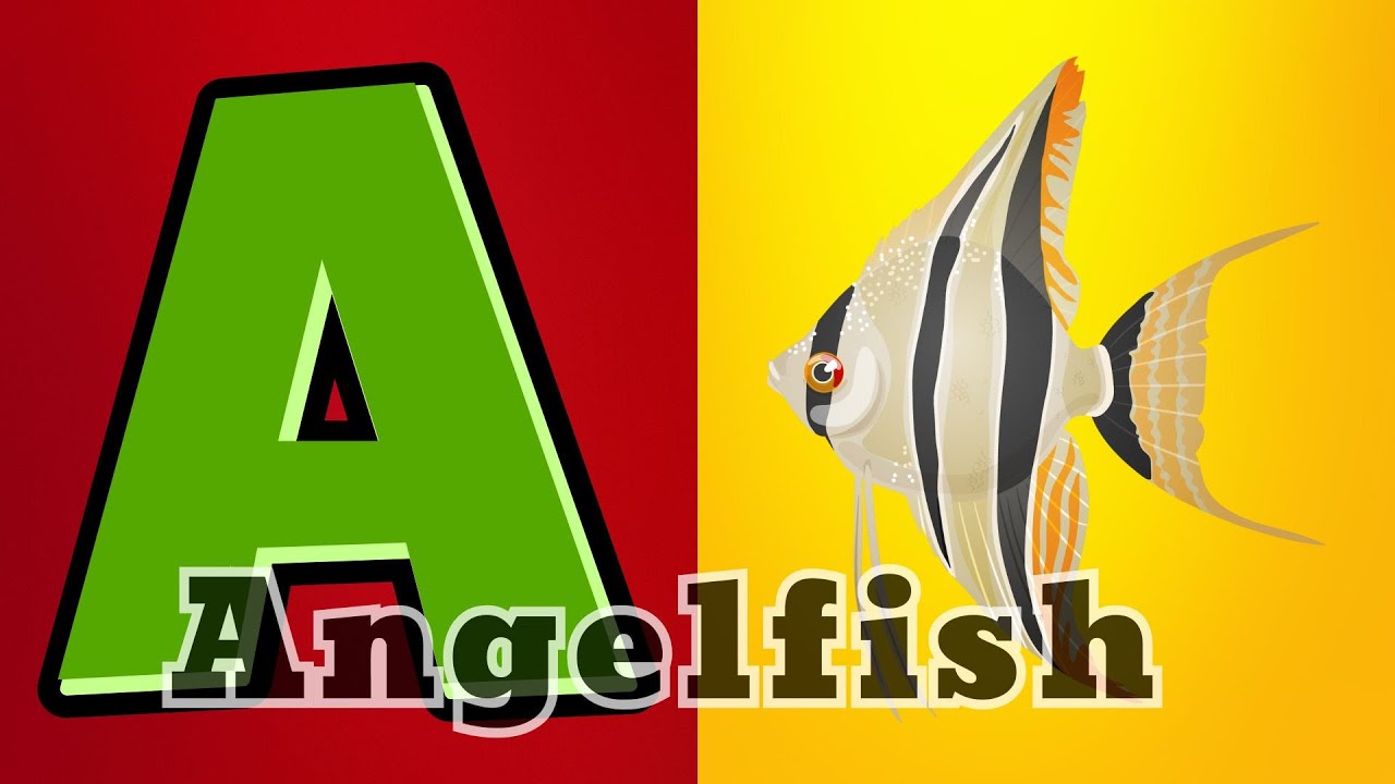 Ocean Alphabet Adventure | Learn ABC with Sea Animals |ABC song for kids| @Bubblekids-w7g