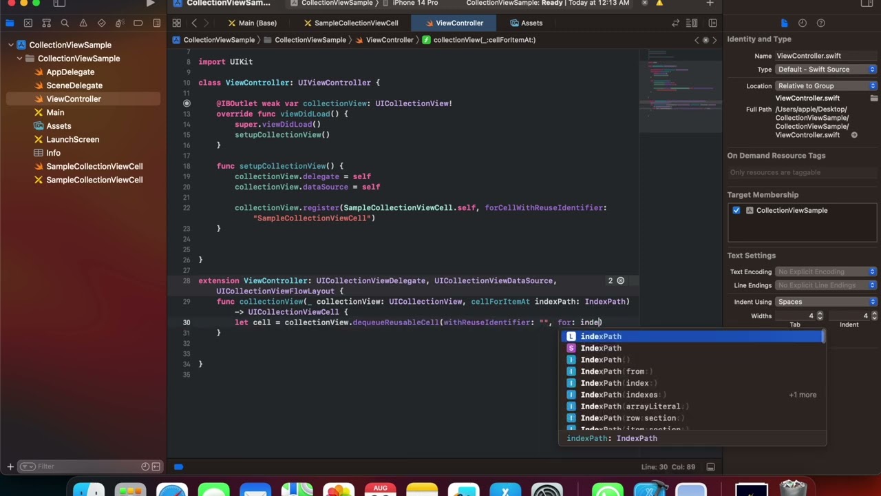 Building Dynamic Collection Views with Storyboard in Swift: Step-by-Step Guide