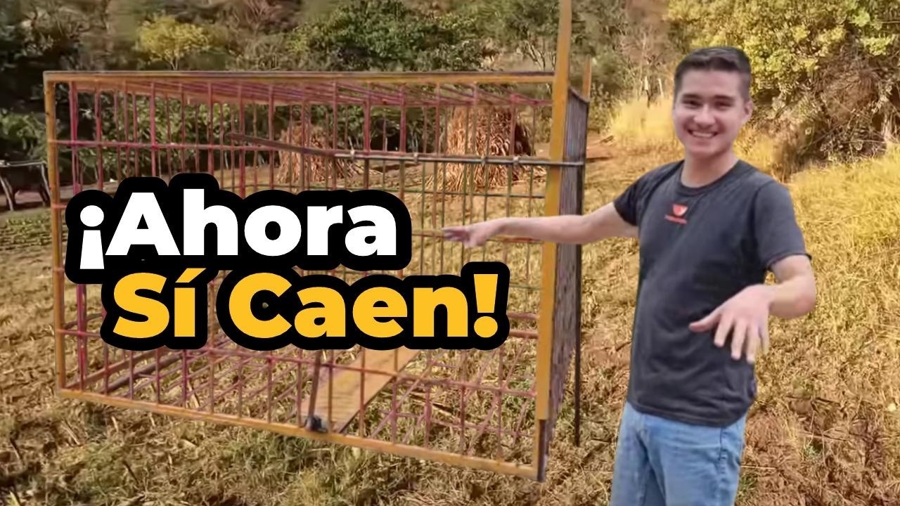 Hicimos una trampa gigante