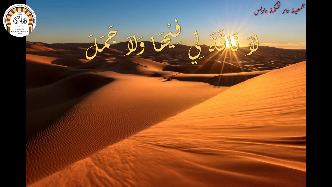 لا ناقة لي فيها وجمل
