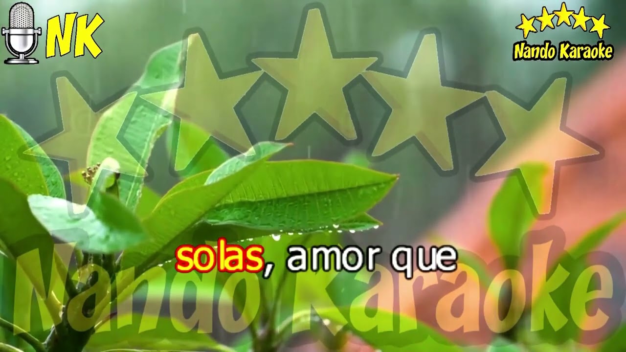 AMOR A SOLAS - Carlos Mata Karaoke
