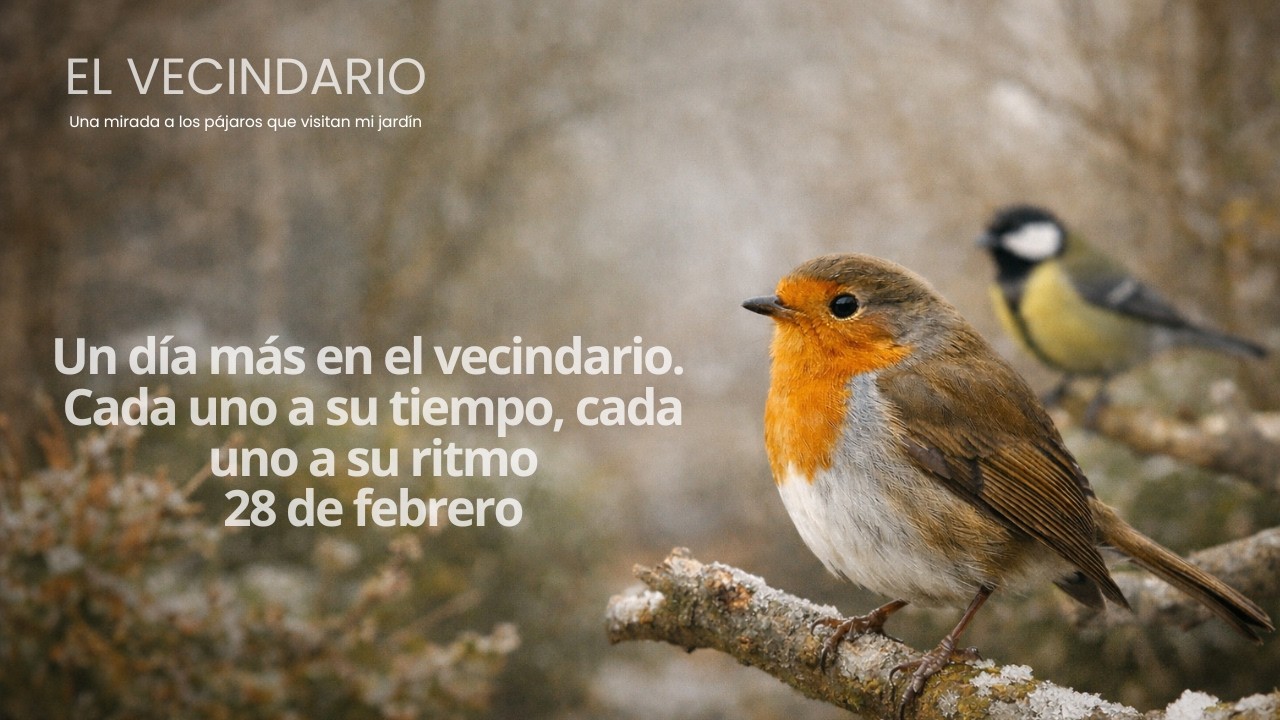 Un día más en el vecindario 🐦 Cada uno a su tiempo, cada uno a su ritmo.  28 de febrero.
