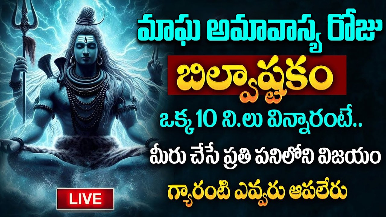 LIVE : మాఘ అమావాస్య రోజు బిల్వాష్టకం వింటే కోటీశ్వరులవుతారు | Bilvashtakam |Lord Shiva Bhakthi Songs