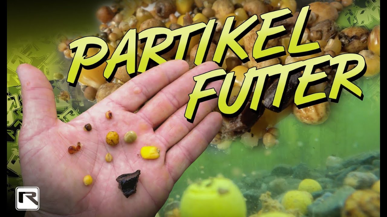 Karpfenfutter selber machen - Partikel, Tigernüsse, Mais, natürliche Futterzusätze