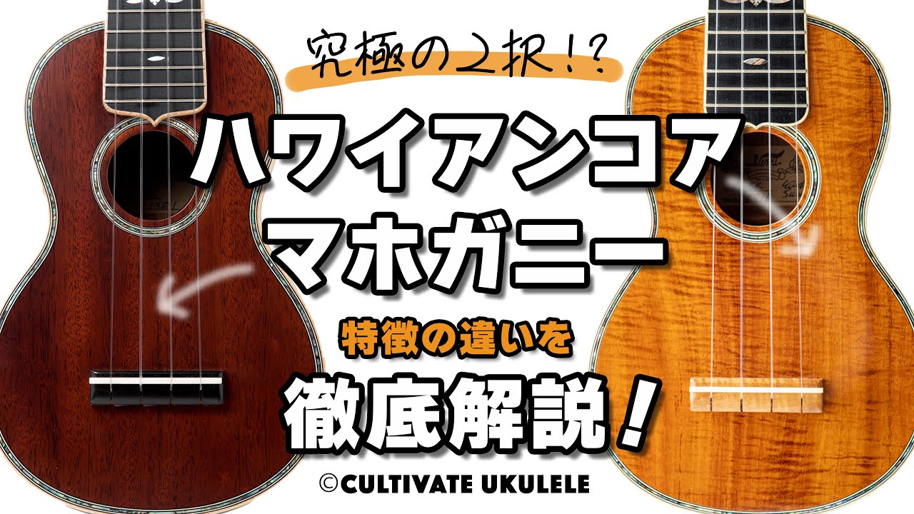 究極の二択？ウクレレのボディ材「ハワイアンコア」と「マホガニー」の違いを徹底解説！