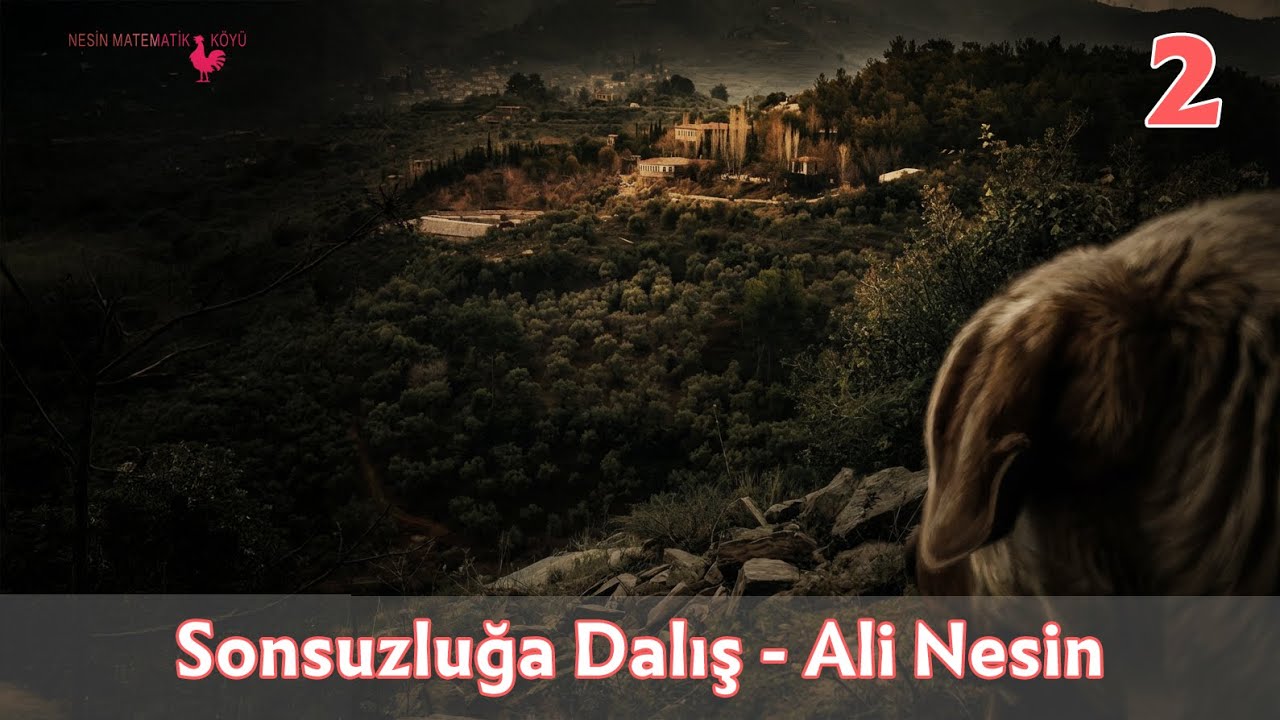 Hilbert'in Sonsuz Oteli 2 | Ali Nesin