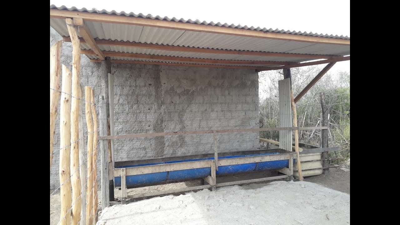 COBERTURA DO CONFINAMENTO - COMO FAZER -