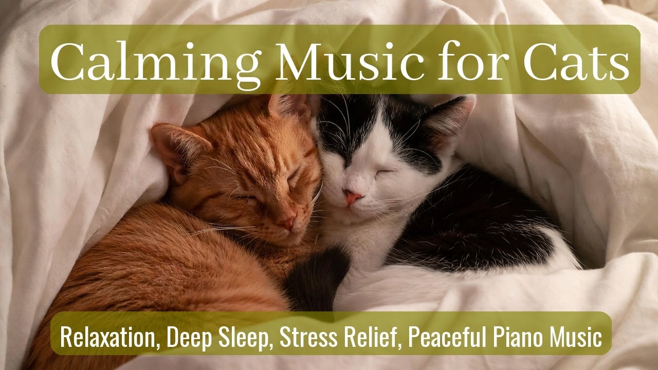 Calming Music for Cats - Relaxation, Deep Sleep, Stress Relief, Peaceful Piano Music | Season 50