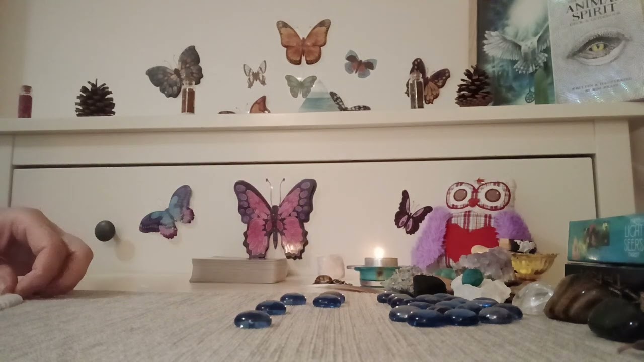 ⚡️🦉Tarorul de la miezul nopții🦉⚡️Tu arunci zarurile propriului destin⚡️🦉