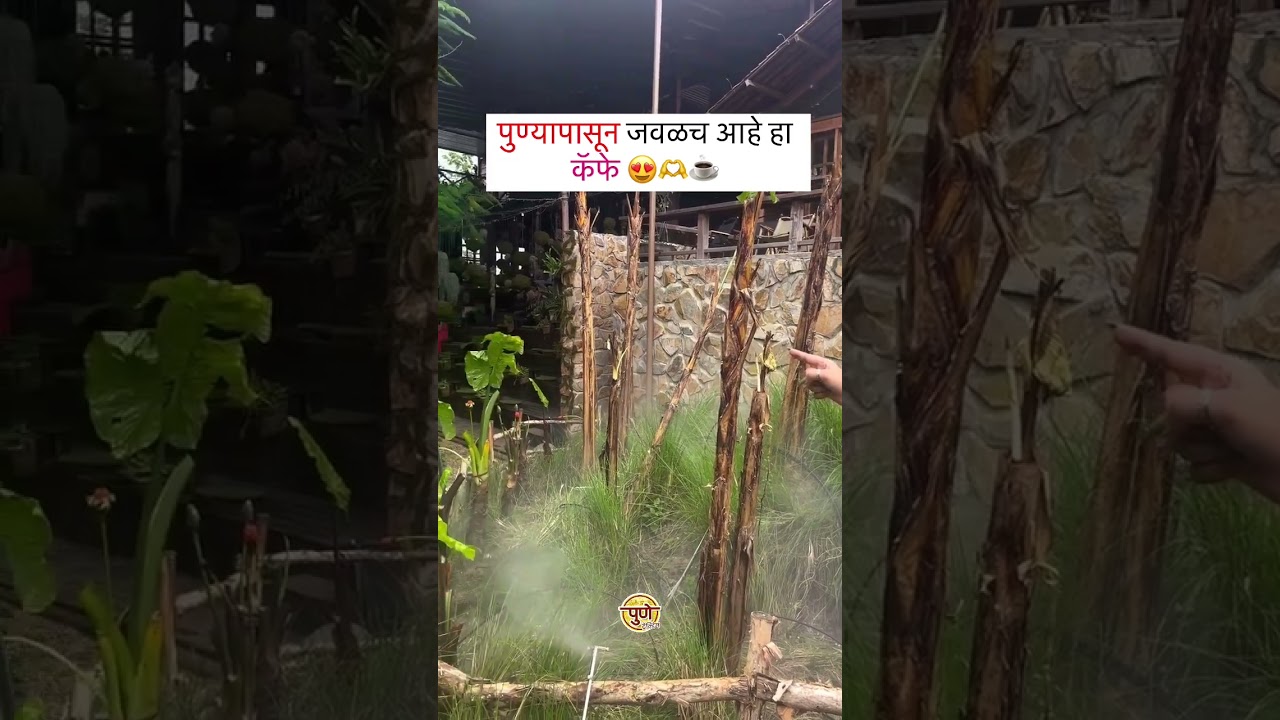 Best couple cafe in pune, best celebration place in Pune