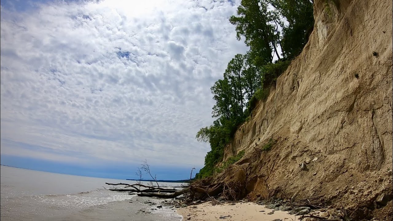Searching Beaches and Creeks for Fossils | Shark Teeth and Verts!
