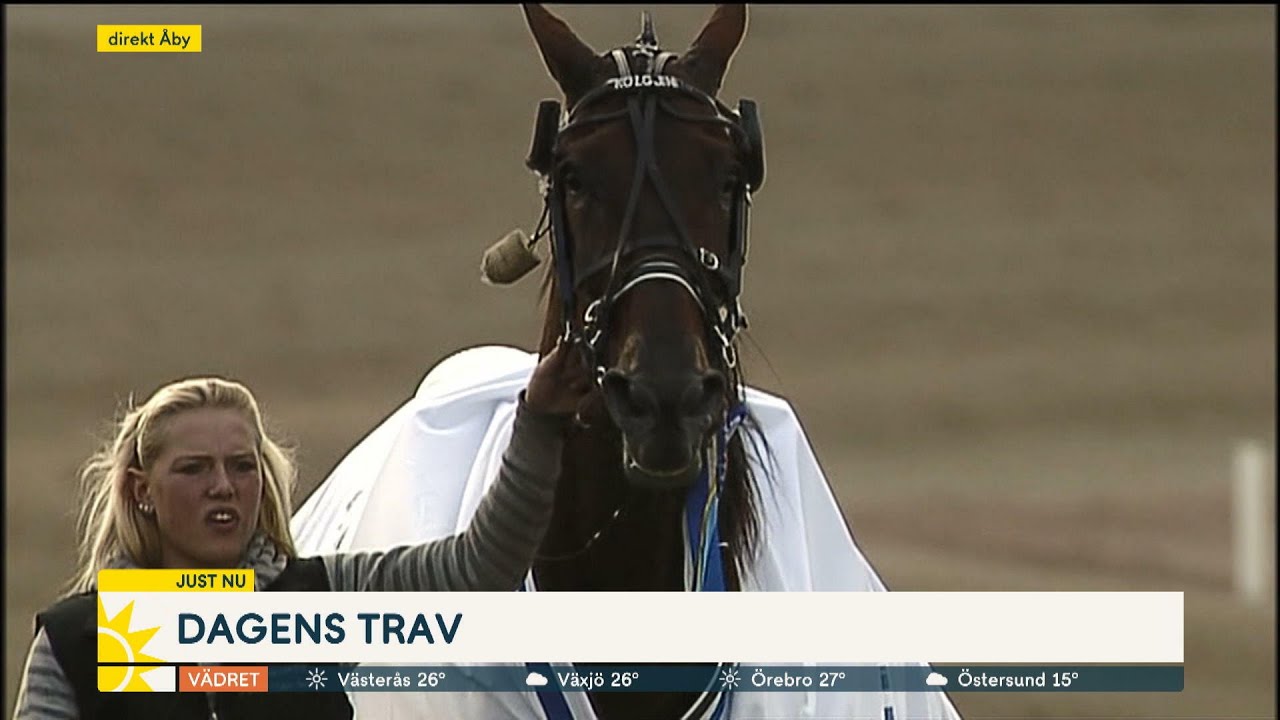 Skoglunds travsystem till Åbytravet: ”Banan är perfekt preparerad” | Nyhetsmorgon | TV4 & TV4 Play