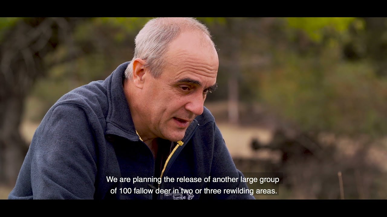 The wild heart of the Rhodope Mountains