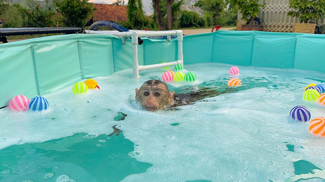 YuYu excited and can't wait to experience outdoor soap pool!