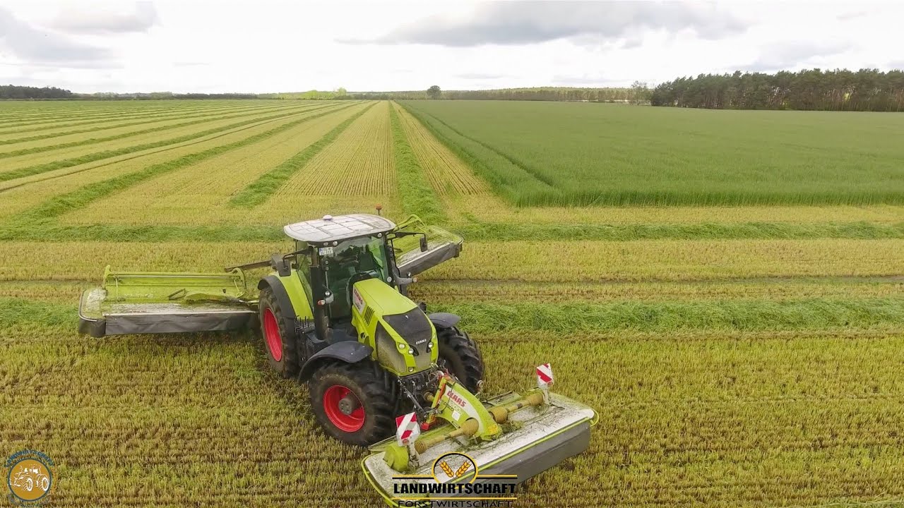 CLAAS Gespann beim Roggen M&auml;hen - Ganzpflanzensilage GPS Futter Roggen m&auml;hen m. Claas M&auml;hkombination