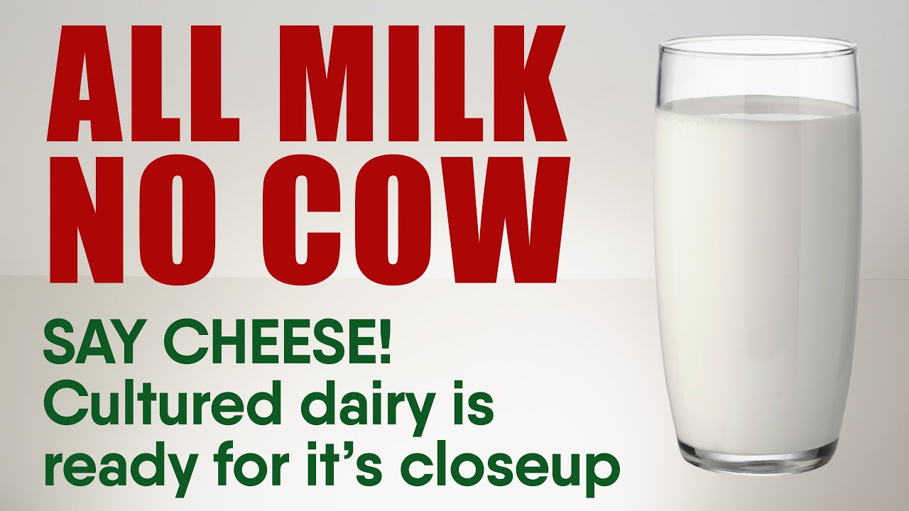 Say Cheese! Cultured Milk is Ready for its Closeup