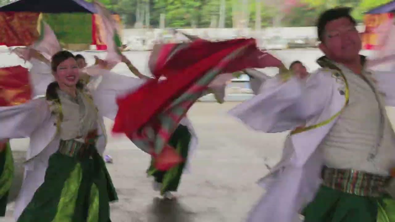「葵や一晴」 よさこい東海道 沼津秋祭り 第一市場演舞場 2025 11 08（土）11：28～