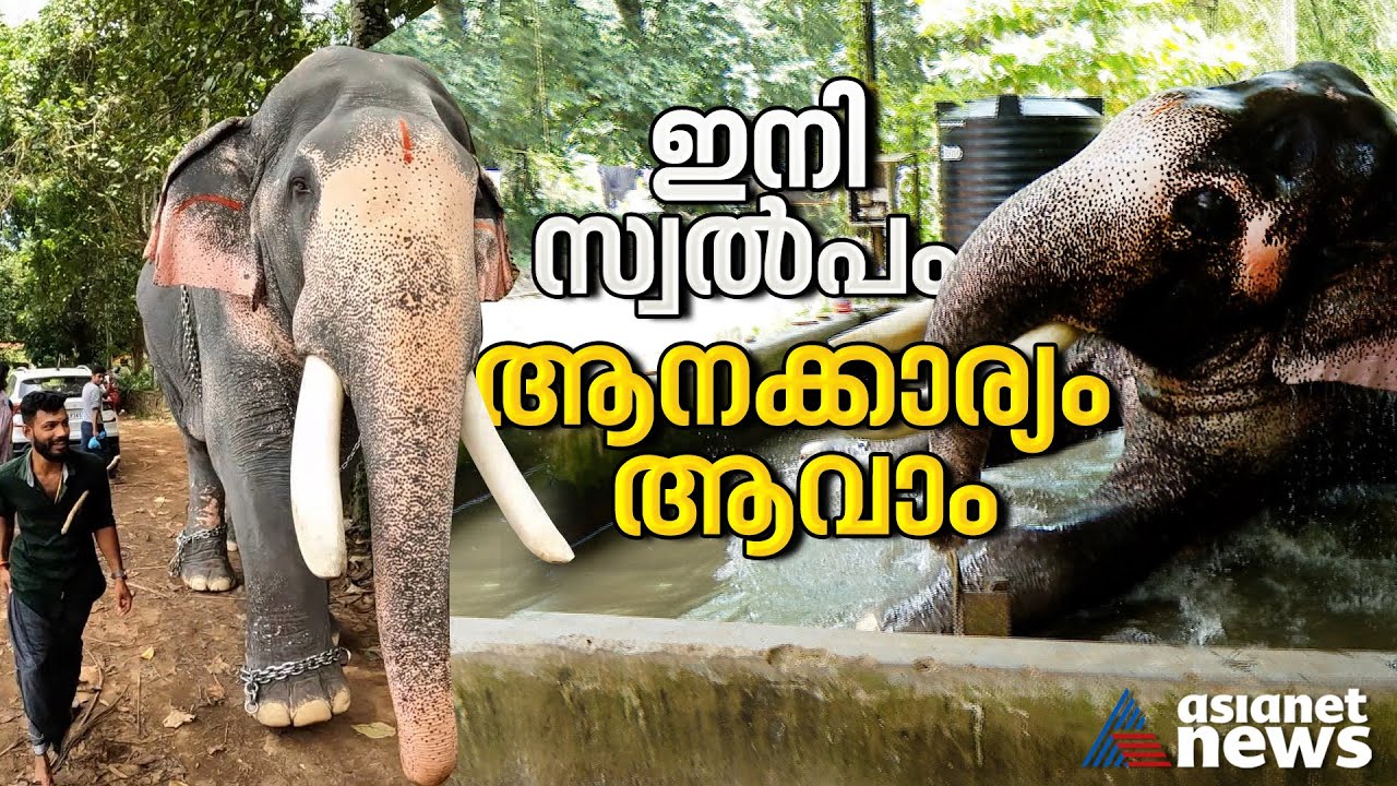 പുതുപ്പള്ളിയിലുമുണ്ട് അൽപ്പം ആനക്കാര്യം! | Puthuppally By Election 2023