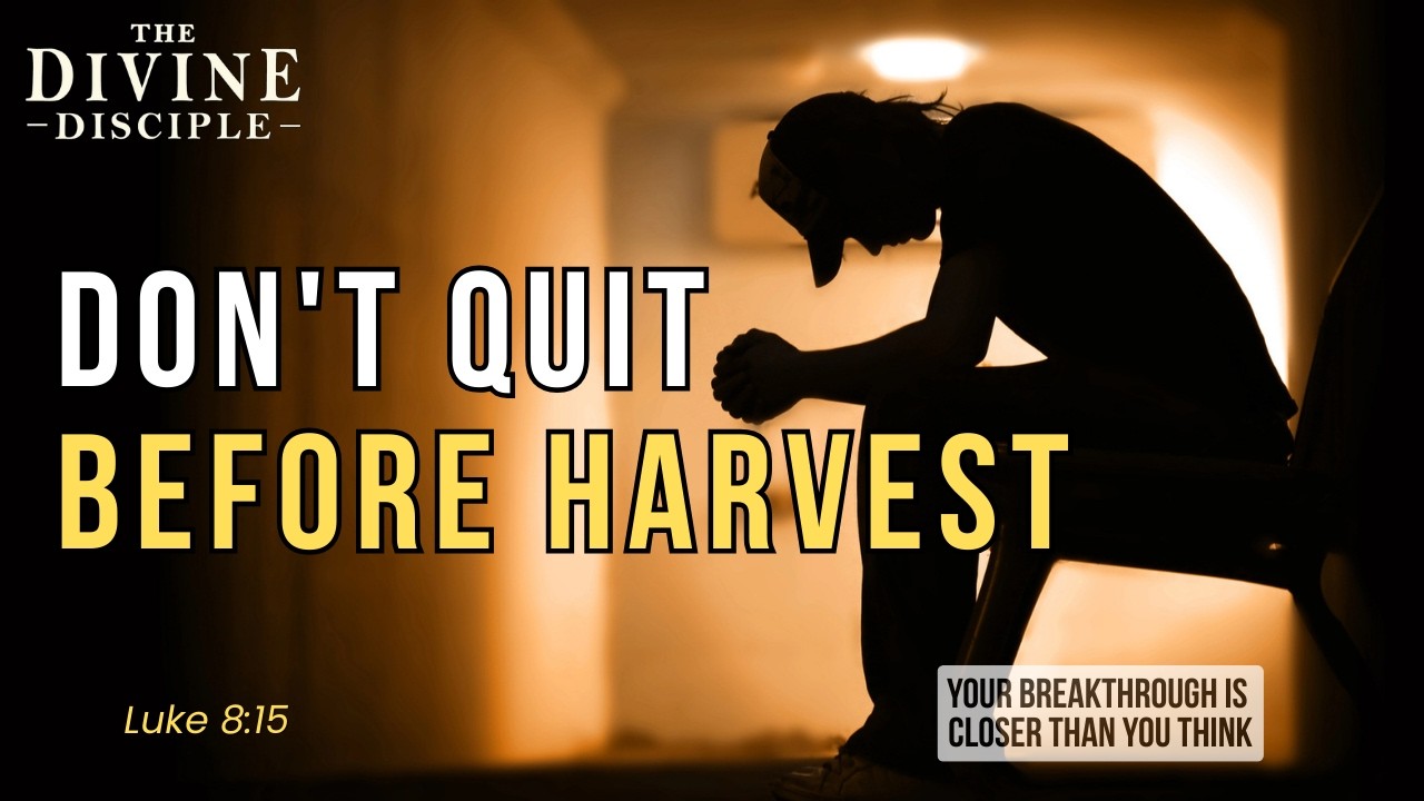 The Fruit Of Patience | Daily Devotion | The Divine Disciple