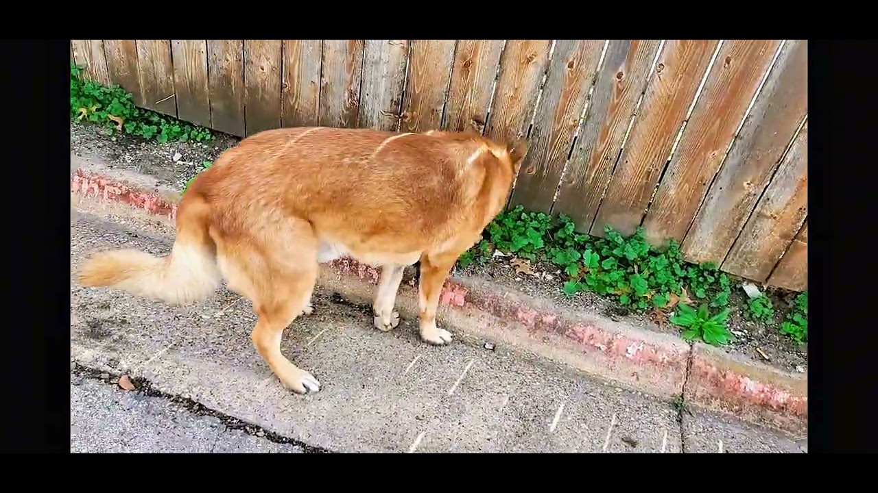 Esto ise en mi día de descanso